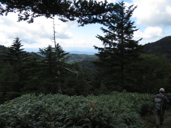 登山道